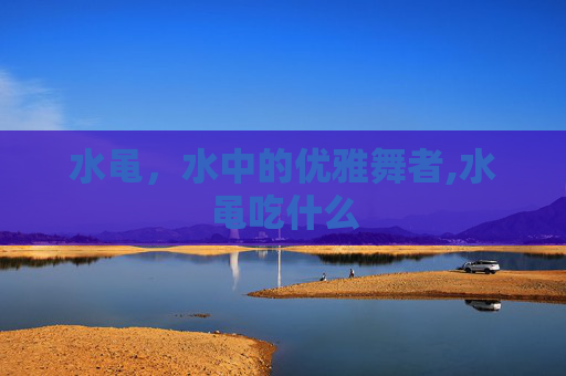 水黾，水中的优雅舞者,水黾吃什么