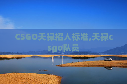 CSGO天禄招人标准,天禄csgo队员
