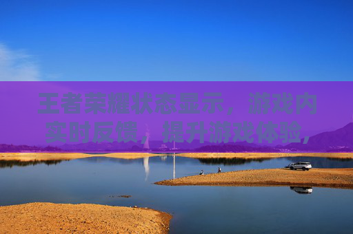 王者荣耀状态显示，游戏内实时反馈，提升游戏体验,王者荣耀状态显示怎么设置