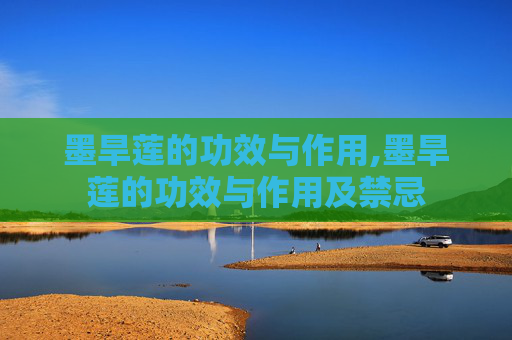 墨旱莲的功效与作用,墨旱莲的功效与作用及禁忌