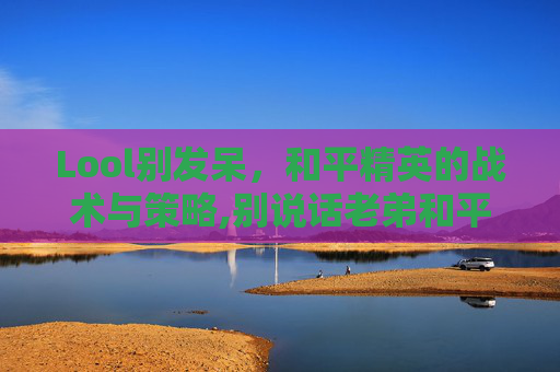 Lool别发呆，和平精英的战术与策略,别说话老弟和平精英