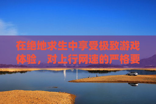 在绝地求生中享受极致游戏体验，对上行网速的严格要求,pubg网络参数在哪设置