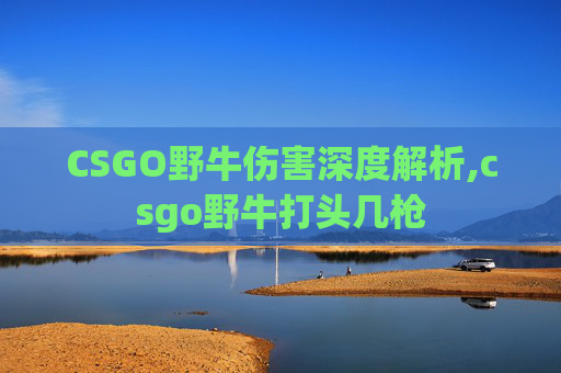 CSGO野牛伤害深度解析,csgo野牛打头几枪