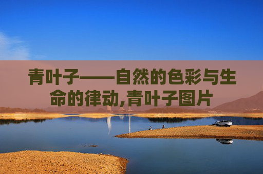 青叶子——自然的色彩与生命的律动,青叶子图片