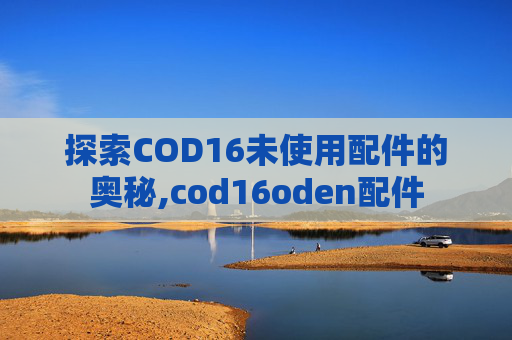探索COD16未使用配件的奥秘,cod16oden配件