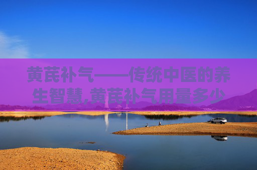 黄芪补气——传统中医的养生智慧,黄芪补气用量多少克