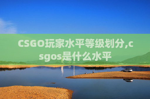 CSGO玩家水平等级划分,csgos是什么水平