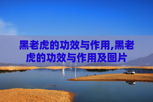 黑老虎的功效与作用,黑老虎的功效与作用及图片