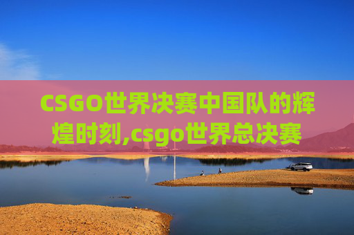 CSGO世界决赛中国队的辉煌时刻,csgo世界总决赛