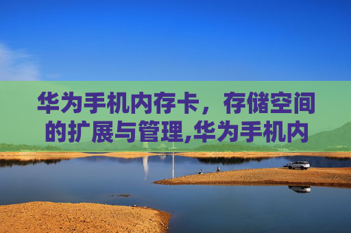 华为手机内存卡，存储空间的扩展与管理,华为手机内存卡买哪种