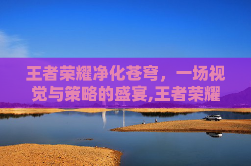 王者荣耀净化苍穹，一场视觉与策略的盛宴,王者荣耀净化苍穹怎么升级