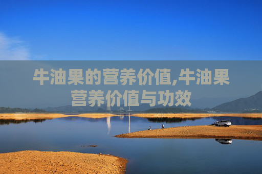 牛油果的营养价值,牛油果营养价值与功效
