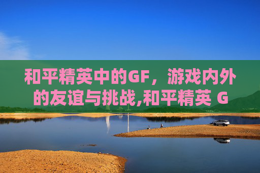 和平精英中的GF，游戏内外的友谊与挑战,和平精英 GFX 工具箱