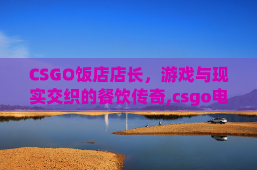 CSGO饭店店长，游戏与现实交织的餐饮传奇,csgo电竞酒店