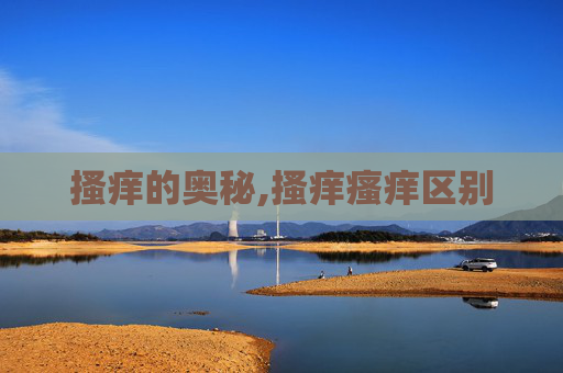 搔痒的奥秘,搔痒瘙痒区别