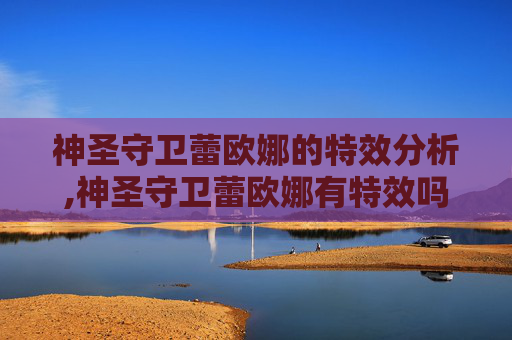 神圣守卫蕾欧娜的特效分析,神圣守卫蕾欧娜有特效吗