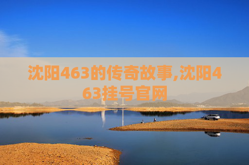 沈阳463的传奇故事,沈阳463挂号官网