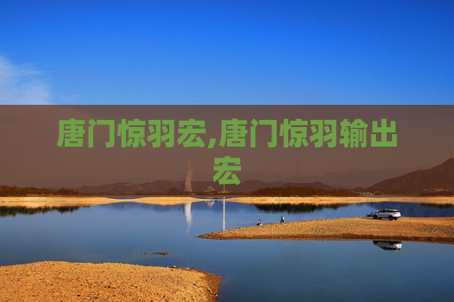 唐门惊羽宏,唐门惊羽输出宏