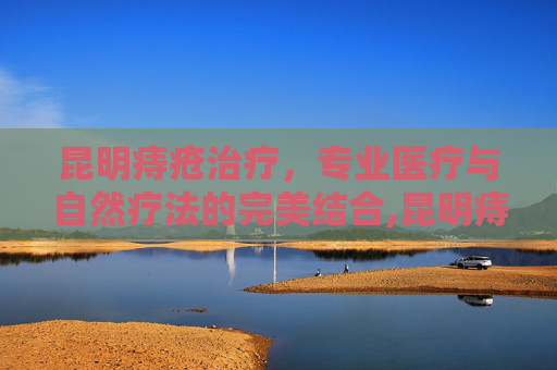 昆明痔疮治疗，专业医疗与自然疗法的完美结合,昆明痔疮治疗医院排名