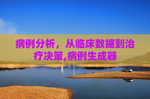 病例分析，从临床数据到治疗决策,病例生成器