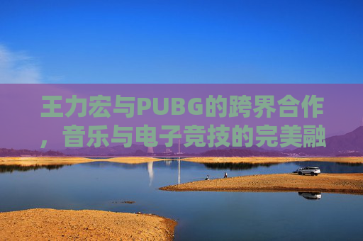 王力宏与PUBG的跨界合作，音乐与电子竞技的完美融合,王力宏蒲巴甲图片对比