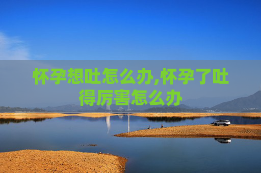 怀孕想吐怎么办,怀孕了吐得厉害怎么办