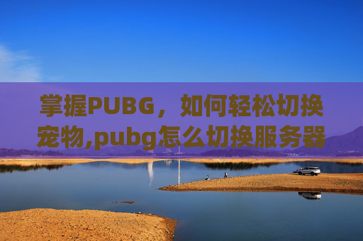 掌握PUBG，如何轻松切换宠物,pubg怎么切换服务器
