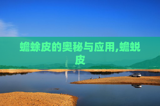 蟾蜍皮的奥秘与应用,蟾蜕皮