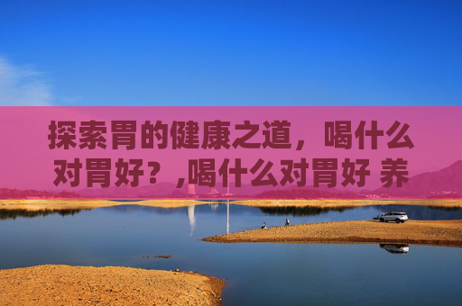 探索胃的健康之道，喝什么对胃好？,喝什么对胃好 养胃