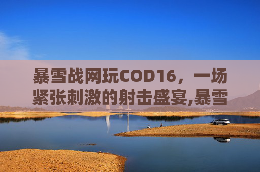 暴雪战网玩COD16,一场紧张刺激的射击盛宴,暴雪战网玩游戏突然要电话号码 暴雪战网玩COD16,一场紧张刺激的射击盛宴,暴雪战网玩游戏突然要电话号码