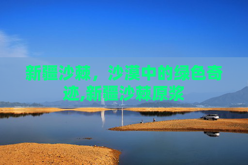 新疆沙棘，沙漠中的绿色奇迹,新疆沙棘原浆