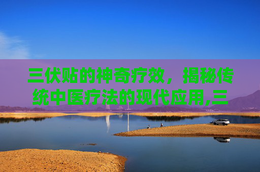 三伏贴的神奇疗效，揭秘传统中医疗法的现代应用,三伏贴能治什么病?