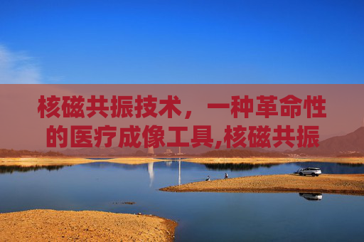 核磁共振技术，一种革命性的医疗成像工具,核磁共振技术是谁发明的