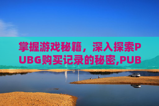 掌握游戏秘籍，深入探索PUBG购买记录的秘密,PUBG购买记录在哪里查看