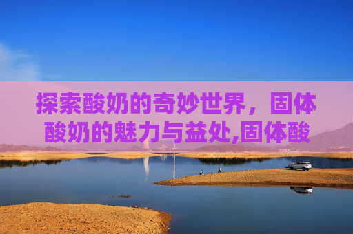 探索酸奶的奇妙世界，固体酸奶的魅力与益处,固体酸奶怎么做