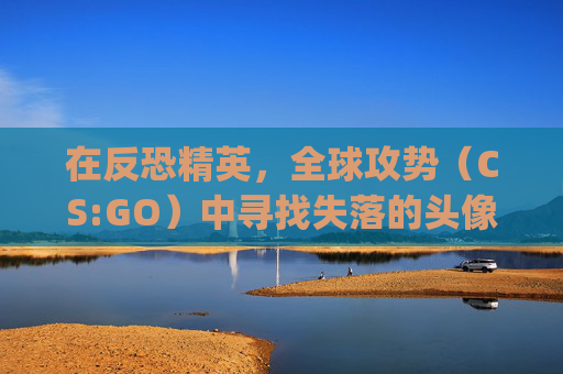 在反恐精英，全球攻势（CS:GO）中寻找失落的头像,csgo头像超清搞笑
