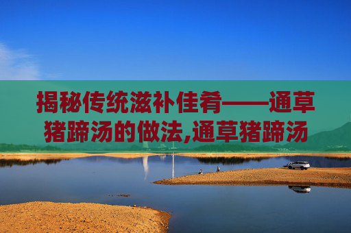 揭秘传统滋补佳肴——通草猪蹄汤的做法,通草猪蹄汤的做法通草放多少