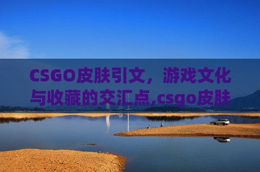 CSGO皮肤引文，游戏文化与收藏的交汇点,csgo皮肤名称中英文对照表