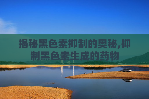 揭秘黑色素抑制的奥秘,抑制黑色素生成的药物
