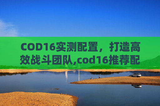 COD16实测配置，打造高效战斗团队,cod16推荐配置
