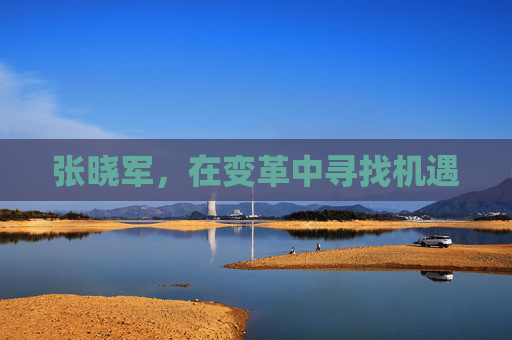 张晓军，在变革中寻找机遇