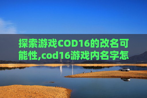 探索游戏COD16的改名可能性,cod16游戏内名字怎么改
