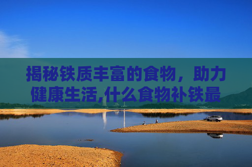揭秘铁质丰富的食物，助力健康生活,什么食物补铁最好