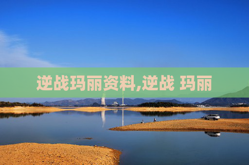 逆战玛丽资料,逆战 玛丽