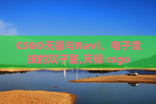 CSGO天禄与Navi，电子竞技的双子星,天禄 csgo