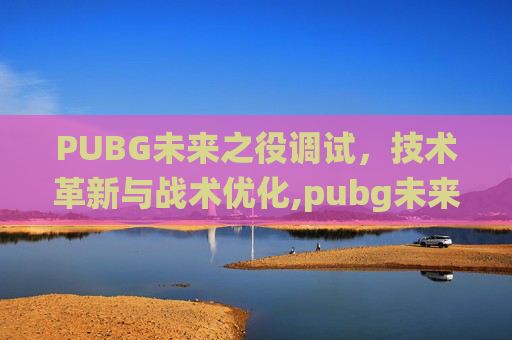 PUBG未来之役调试，技术革新与战术优化,pubg未来之役改画质