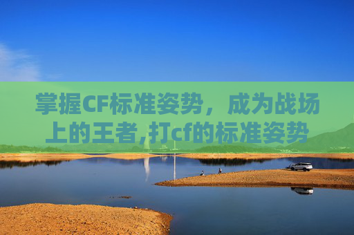 掌握CF标准姿势，成为战场上的王者,打cf的标准姿势图片
