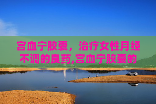 宫血宁胶囊，治疗女性月经不调的良药,宫血宁胶囊的功效与作用
