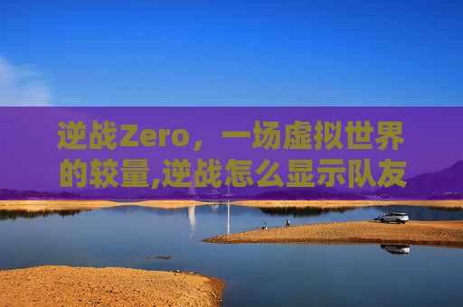 逆战Zero，一场虚拟世界的较量,逆战怎么显示队友名字