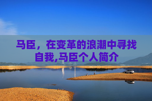 马臣，在变革的浪潮中寻找自我,马臣个人简介